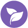 Detox-Icon